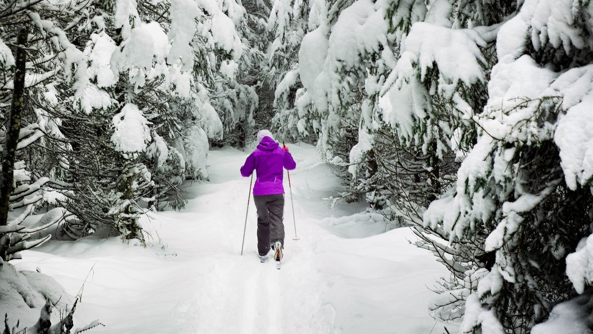 Běžkaři na Vysočině o víkendu využili poslední sníh u Fryšavy